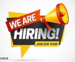 Chief Administrator Job