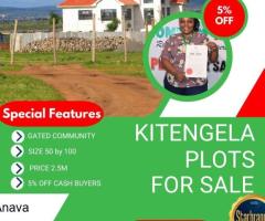 50*100 PLOT IN KITENGELA, LENCHAN