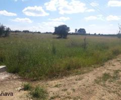 Malaika Plots -Kajiado