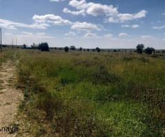 Malaika Plots -Kajiado - 3