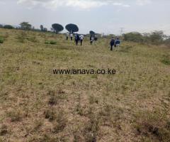 PRIME LAND IN IMBIRIKANI 31 ACRES ALONG EMALI OLOITOKITOK ROAD - 2