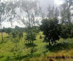 5 acres  for sale