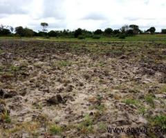 5 acres  for sale - 2