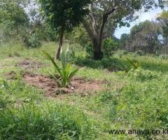 5 acres  for sale - 3