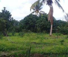 5 acres  for sale - 6