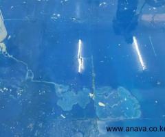 HOSPITAL Epoxy flooring and vinyl painting - 10