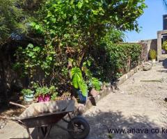 3 BEDROOM BUNGALOW FPR SALE IN KAMANGU, KIKUYU - 4