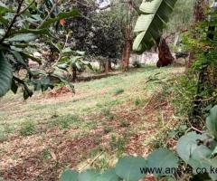 6 bedroom mansionette in old muthaiga - 2