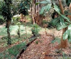 6 bedroom mansionette in old muthaiga - 3