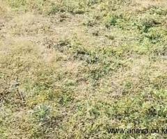 1/8 ACRE PLOT FOR SALE IN THAMANDU, KIKUYU