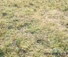 1/8 ACRE PLOT FOR SALE IN THAMANDU, KIKUYU - 2