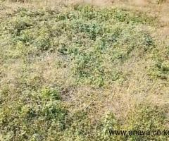 1/8 ACRE PLOT FOR SALE IN THAMANDU, KIKUYU - 3