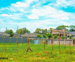 Nyeri Bliss gardens next to garden estate