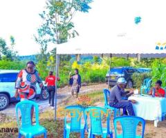 Nawiri gardens kenol