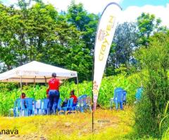 Nawiri gardens kenol - 3