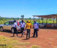 Nawiri gardens kenol - 5