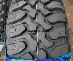 31.10.5 0R15 WINDA (MT)