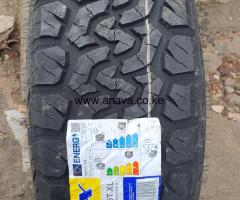 225 /65 R17 SUMAXX