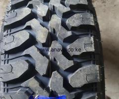 31.10.5 0R15 WINDA (MT)