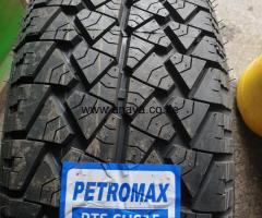 225 /65 R17 PETROMAX